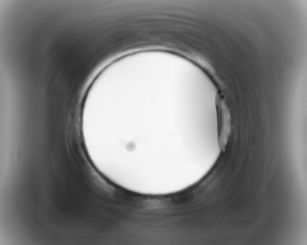 X0000086261516200704261945