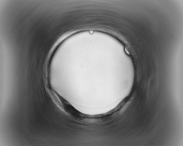 X0000086261517200704261945