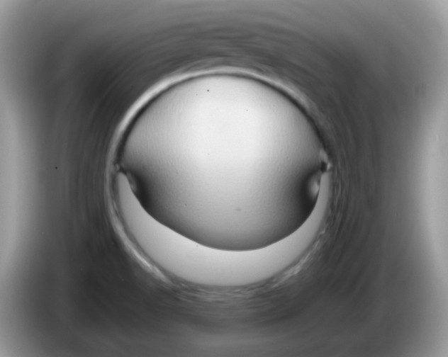 X0000086261518200704261945