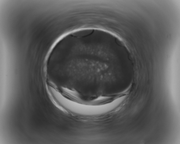 X0000086261519200704261945