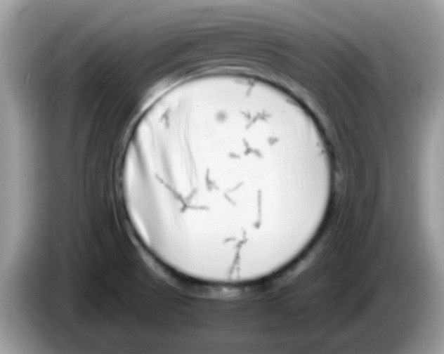X0000086261521200704261945