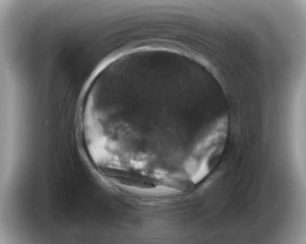 X0000086261522200704261945
