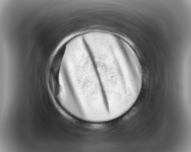 X0000086261523200704261946