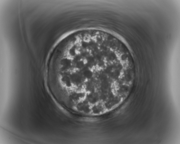 X0000086261525200704261946