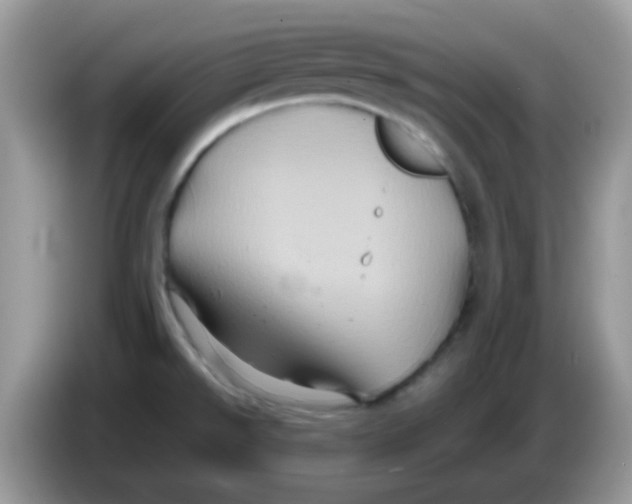 X0000086261526200704261946