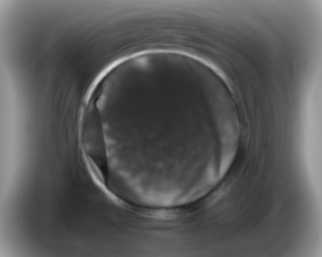 X0000086261527200704261946