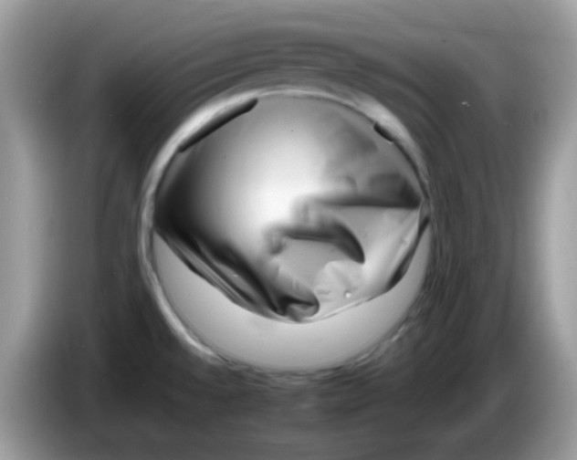 X0000086261528200704261946