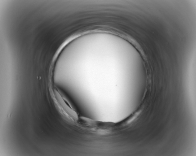 X0000086261530200704261946