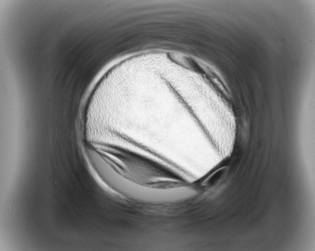 X0000086261531200704261946