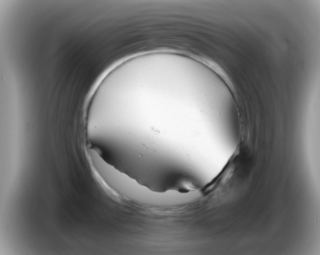 X0000086261532200704261946