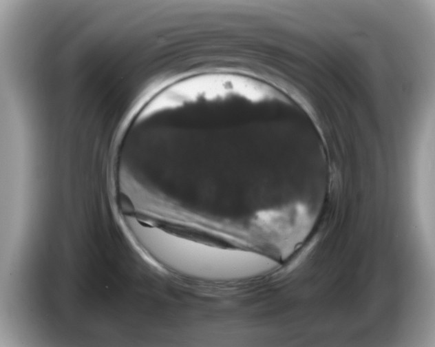 X0000086261533200704261946