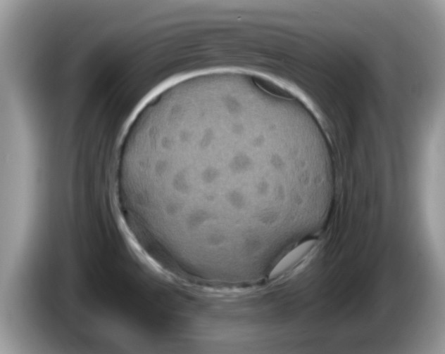 X0000086261534200704261946
