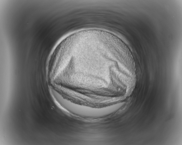 X0000086261535200704261946