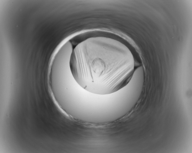 X0000086261536200704261946