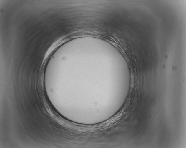 X0000086270004200703291049