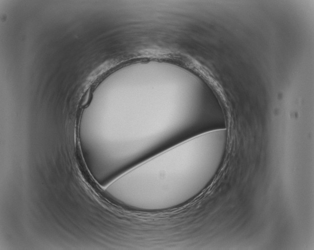 X0000086270011200703291049