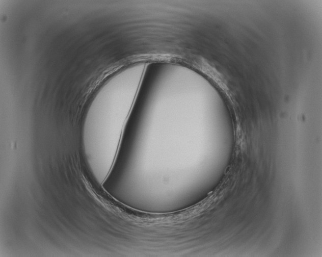 X0000086270013200703291049
