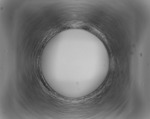 X0000086270018200703291049