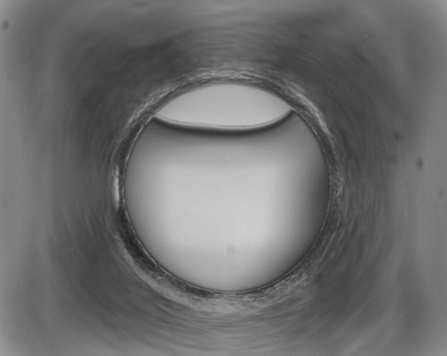 X0000086270020200703291049