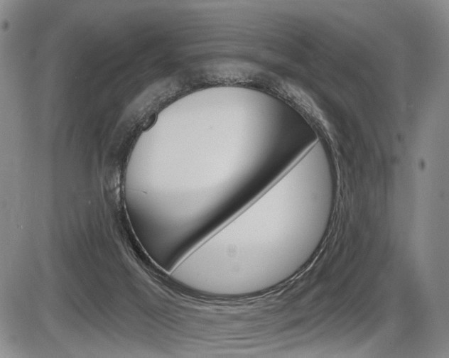 X0000086270021200703291049