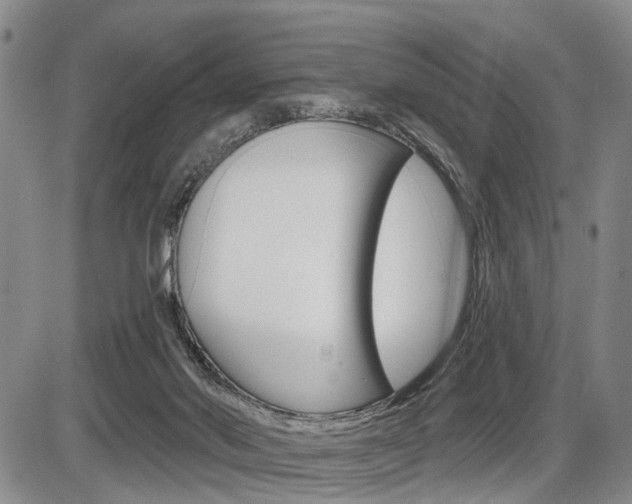 X0000086270022200703291049