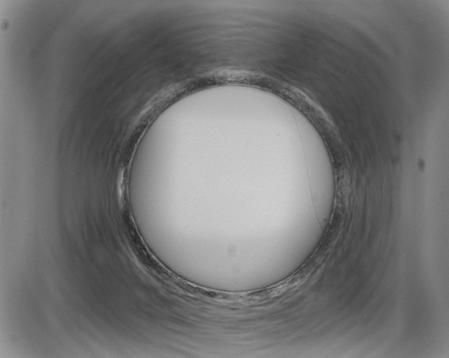 X0000086270024200703291049