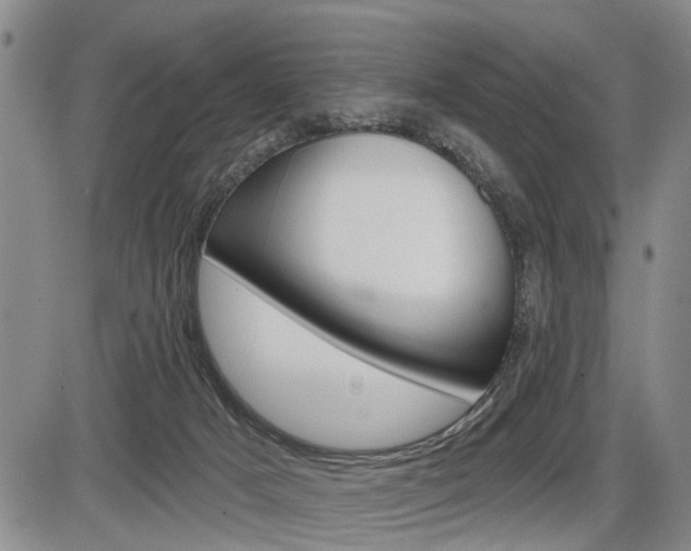 X0000086270025200703291048