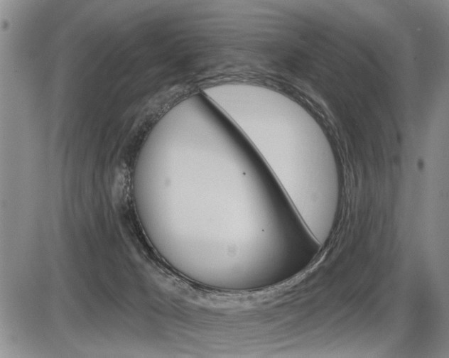 X0000086270029200703291048