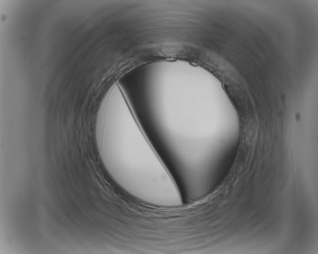 X0000086270031200703291048