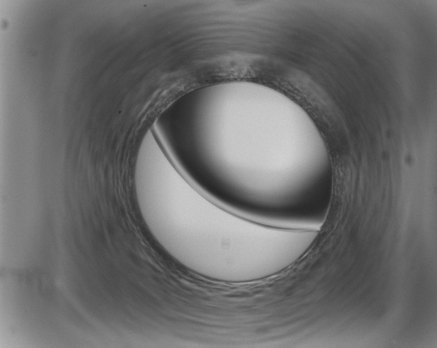X0000086270035200703291048