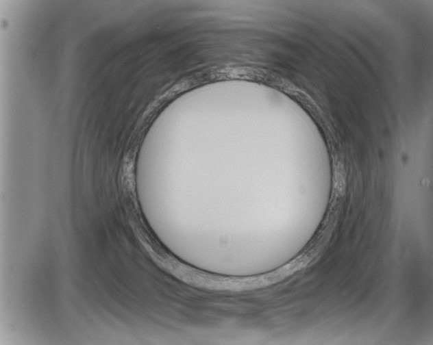 X0000086270036200703291048