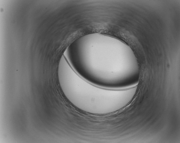 X0000086270041200703291048