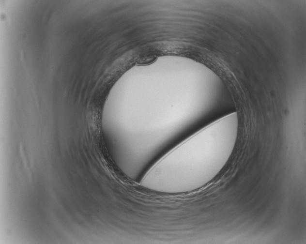 X0000086270044200703291048