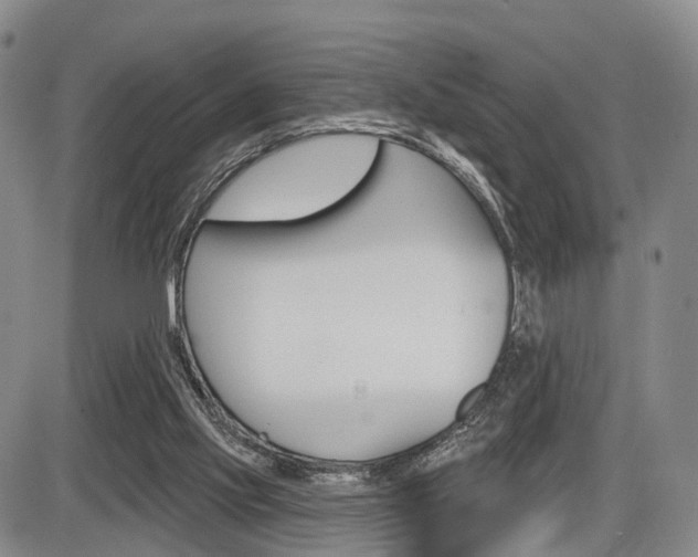 X0000086270061200703291047