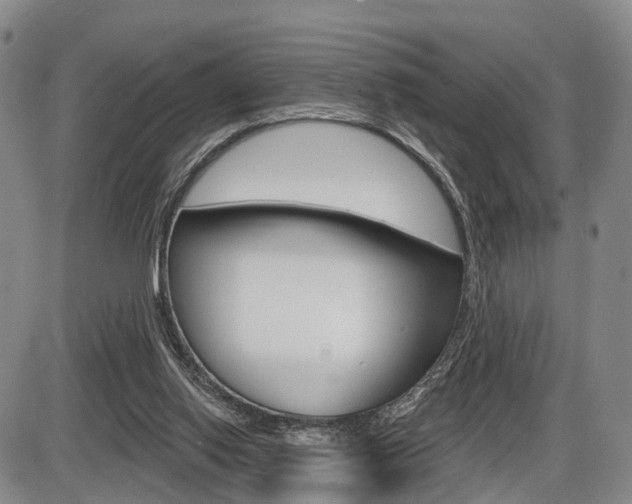 X0000086270062200703291048