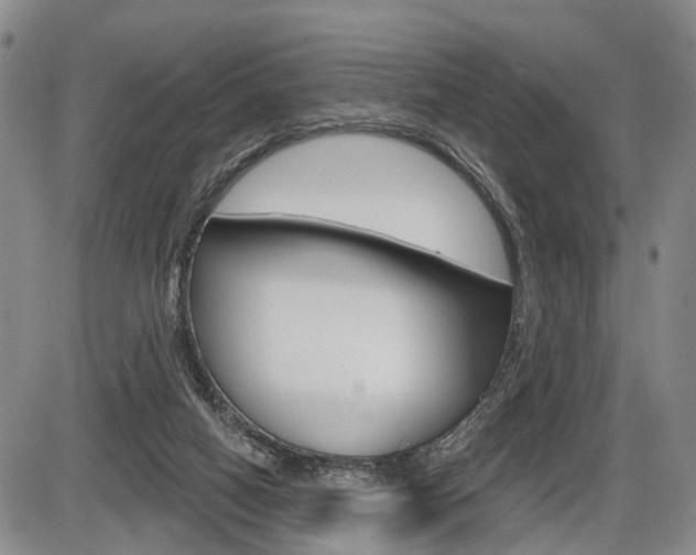 X0000086270066200703291048