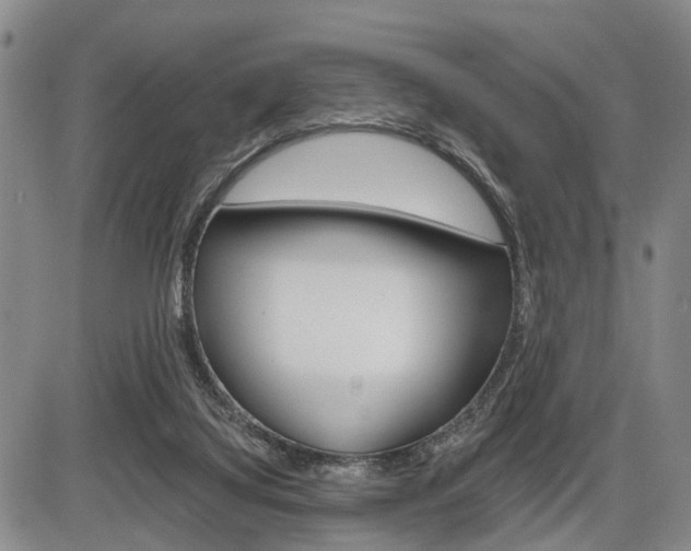 X0000086270068200703291048