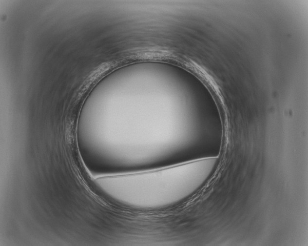 X0000086270105200703291047