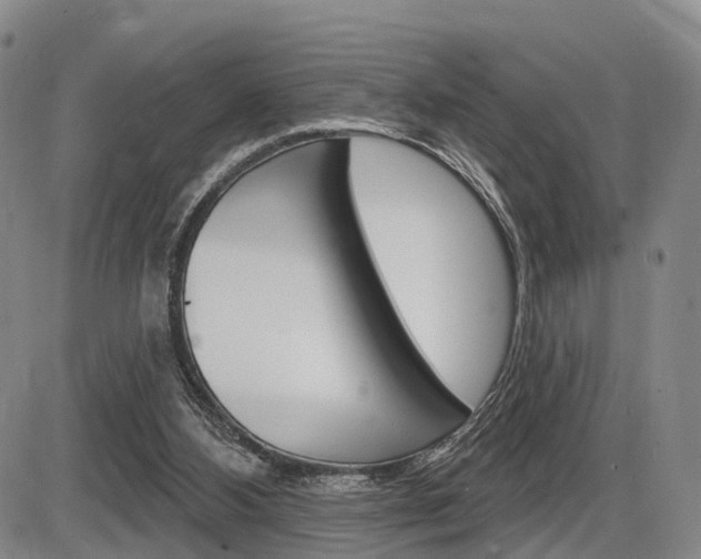X0000086270108200703291047