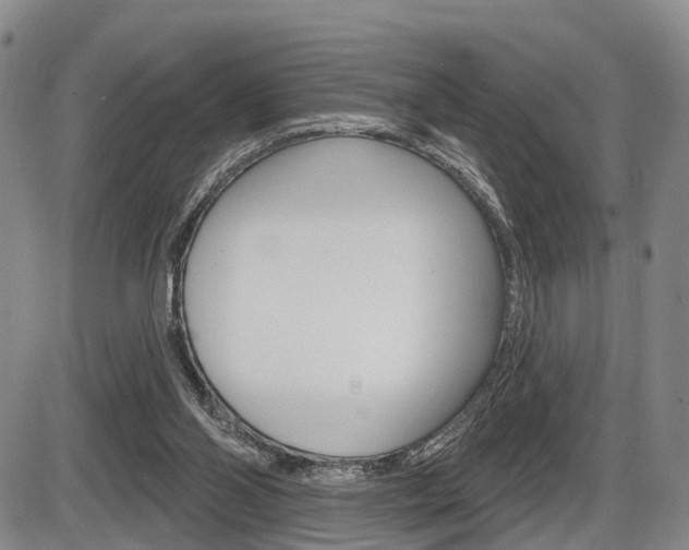 X0000086270110200703291047