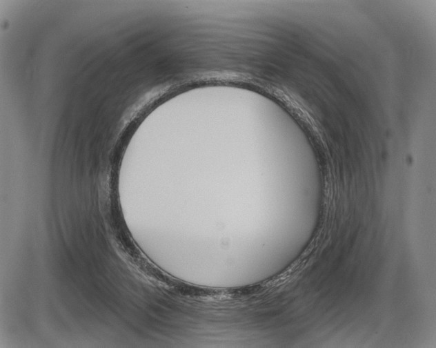 X0000086270112200703291047