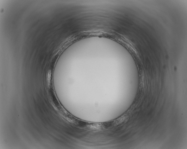 X0000086270118200703291047