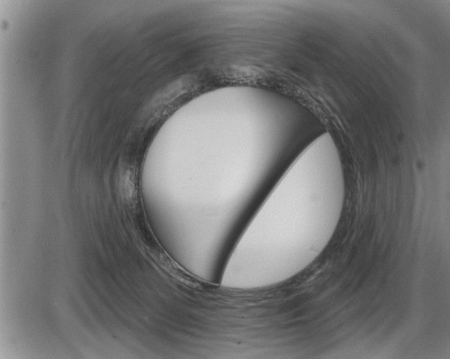 X0000086270131200703291047