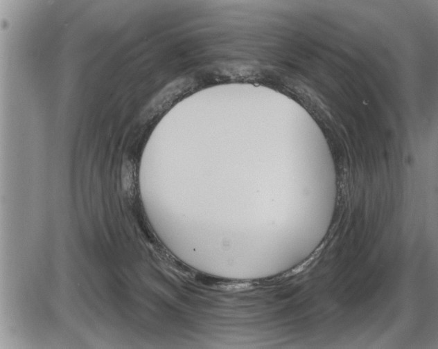 X0000086270132200703291047