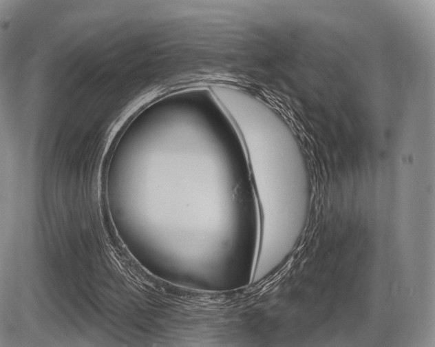 X0000086270148200703291046
