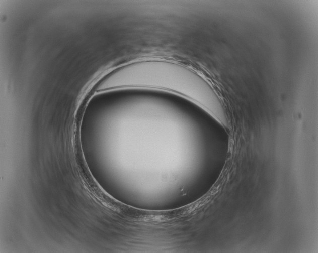 X0000086270152200703291046
