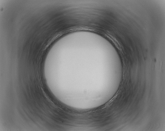 X0000086270158200703291046