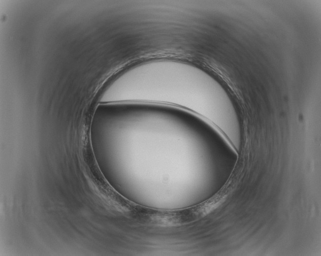 X0000086270164200703291046