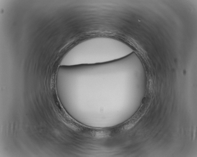 X0000086270165200703291046
