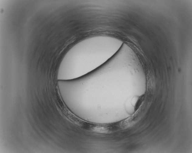 X0000086270171200703291046